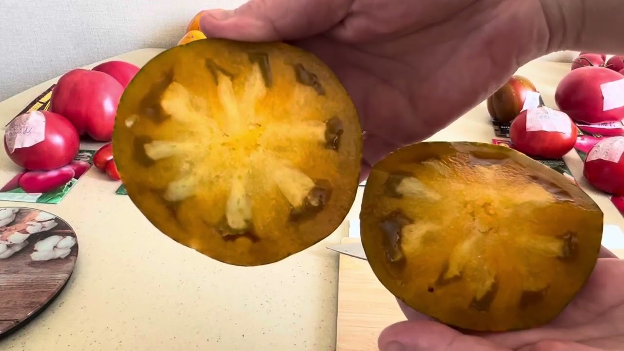 Томаты2025🍅🍅🍅,вкусная дегустация или разочарование 