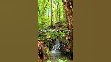 { الَّذِي خَلَقَنِي فَهو يَهْدِينِ }#سورة_الشعراء | القارئ أنس حلواني