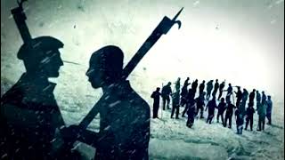 Newfoundland Sealers Disaster 1914
