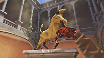 CRITICAL OPS | Tournament & Scrim Highlights 