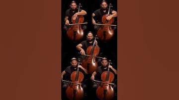Thumbnail of Wardruna - Kvitravn (White Raven) Throat Singing Cello Cover
