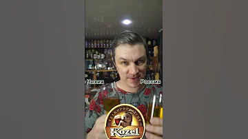 Пиво Kozel Чешское и Российское,слепая дегустация