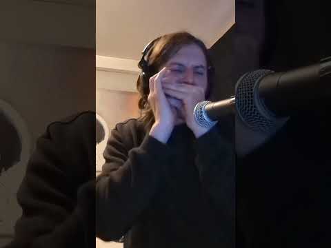 Slim Harpo - Baby scratch my back (harmonica cover)