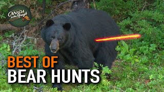 50 Bear Kills in 15 Minutes! (ULTIMATE Bear Hunting Compilation) | BEST OF