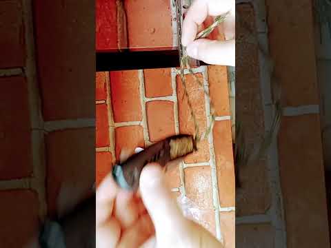 Карманный нож Grand Way 25443 (25443GW)