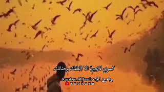 رباه ان الروح ترجو رحمه.//ادعيه دينيه قصيره موثره....