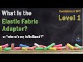 What is the Elastic Fabric Adapter from AWS?