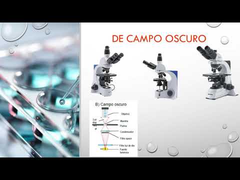 Video: Arena De Mar (19 Fotos): Vista Al Microscopio Y Composición, Densidad Y Color. ¿Cómo Se Forma? Arena De Construcción Y Otros Tipos