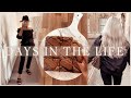 DAYS IN THE LIFE | amazon haul, biscoff baking, body confidence, new hair & cosy cooking ✨