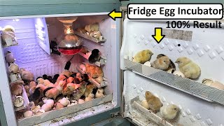 Hatch Chicks Hatching In old Fridge - How to Make Egg Incubator In Old Fridge ( Refrigerator )