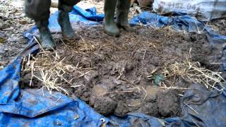 A Cobbing We Will Go