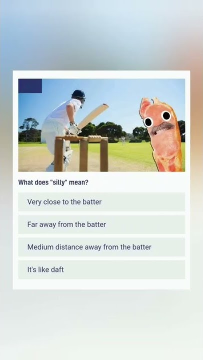 What Does Silly Means cricket cricketshorts ipl2023 YouTube what-does-silly-means-cricket-cricketshorts-ipl2023-youtube