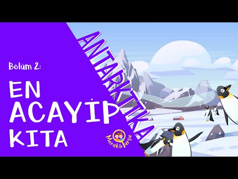 Antarktika - En Acayip Kıta | Meraklı Turşu Dünya Turu Serisi