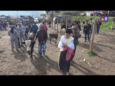 Video: 24 Mennesker Dør I Trafikkulykke I Ecuador