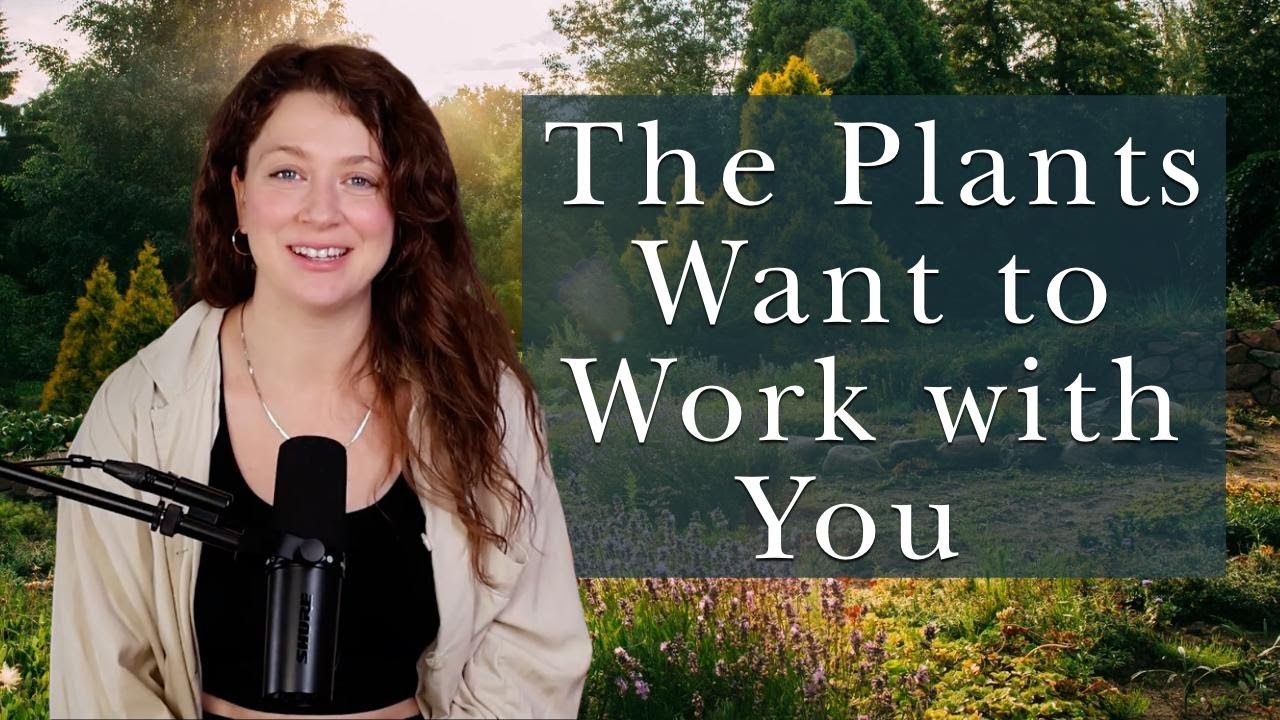 The Plants Want to Work With You - YouTube
