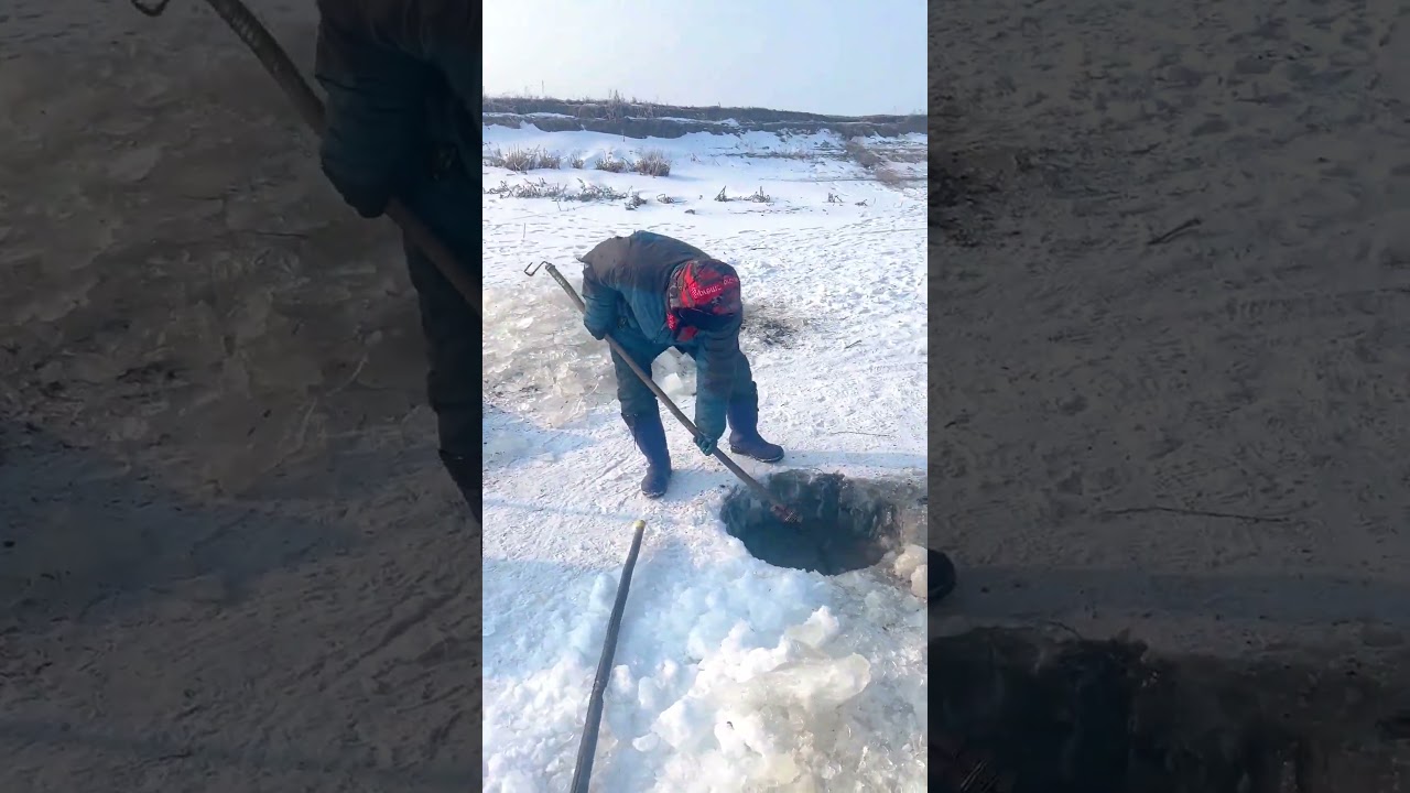 Authentic Old Ice Fishing Technique Using a Hooked Pole