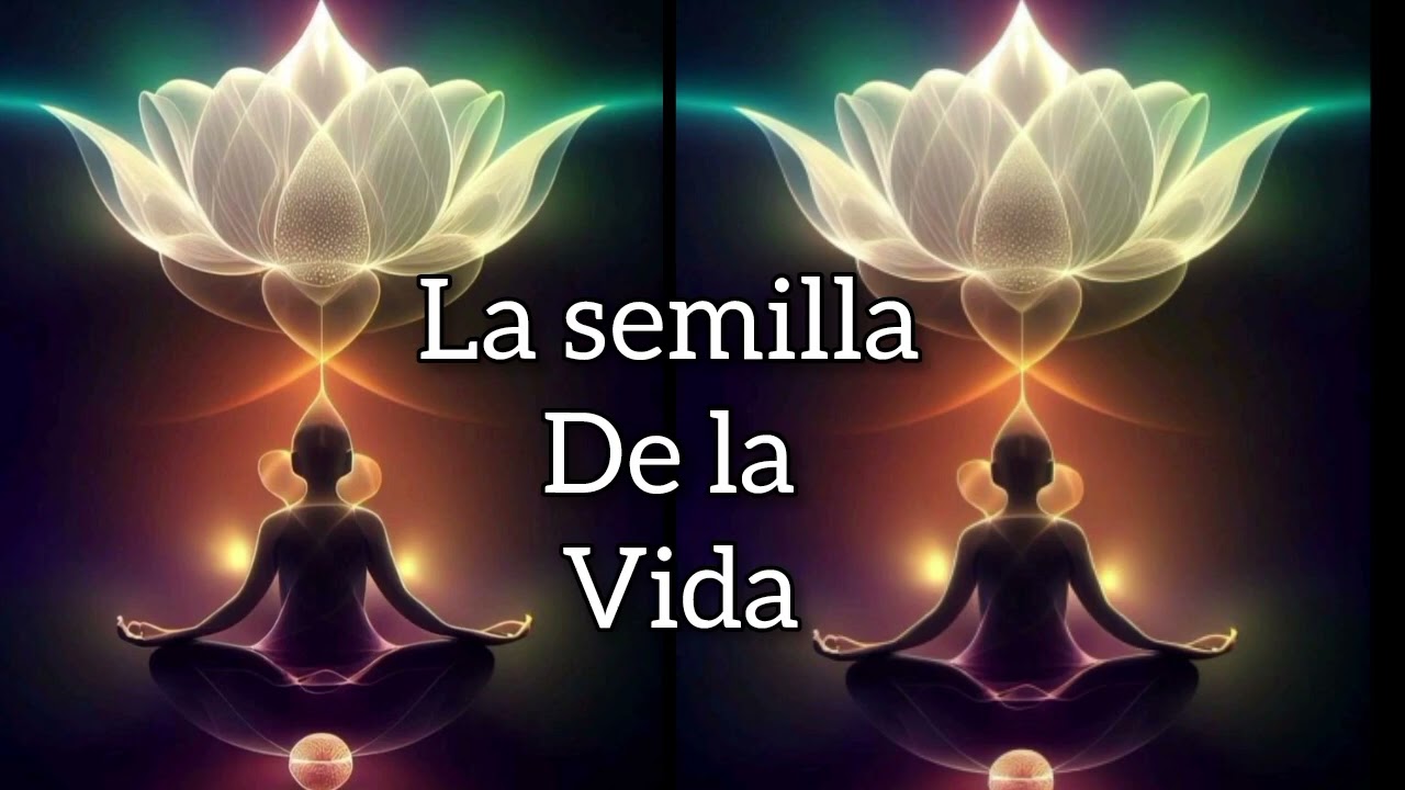 Meditación   La semilla de la vida  #meditacion #canalizacion