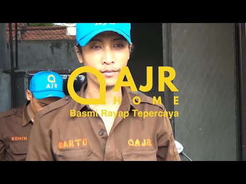 Mengenali Rayap dan Cara Penanganannya