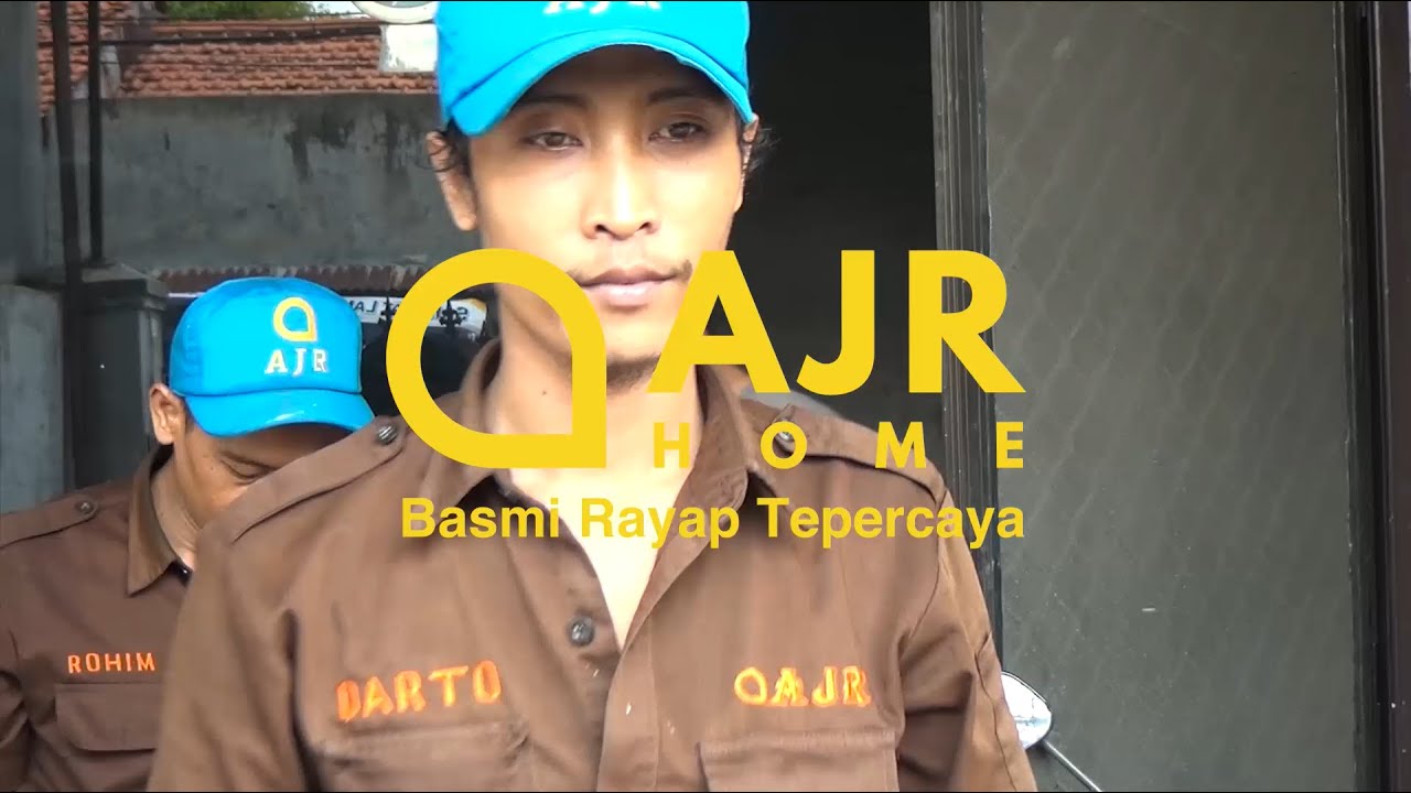 Mengenali Rayap dan Cara Penanganannya 