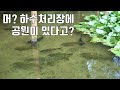 [무료입장] 머? 하수처리장에 공원이 있다고?