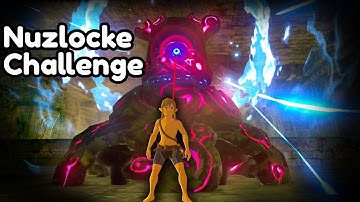 I Created a New Breath of the Wild Challenge. It