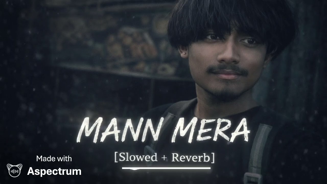 MANN MERA | Slowed + Reverb | Hindi Lofi Song | Late Night Feel 💔🎧2026 (dsk vibes)