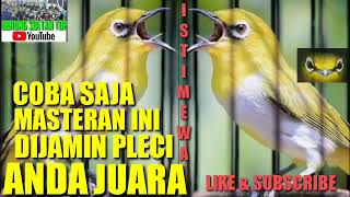 MASTERAN PLECI || TEMBAKAN SPEED RAPAT VARIASI ISTIMEWA !!