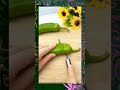Best viral and amazing gadgets short videos | Smart home gadgets 2025 #gadgets #reels #viral #shorts