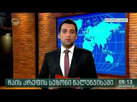 ჩაის კრეფის პროცესი აქტიურად მიმდინარეობს წალენჯიხაში [იმედი]