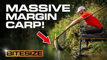 Catch more carp in the margins! | Guru Bitesize #037
