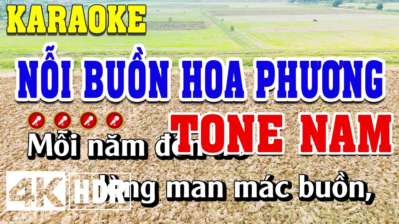 Nỗi Buồn Hoa Phượng Karaoke Tone Nam Beat Chuẩn | Đình Long Karaoke