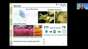 Genomic Selection in Cereals Breeding