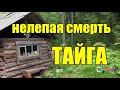 НАПАДЕНИЕ МЕДВЕДЯ | НЕЛЕПАЯ СМЕРТЬ | ТАЙГА