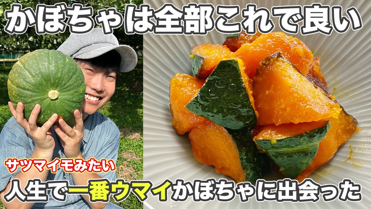 Yukirin様 手毬5点 かぼちゃ1点 栗てまり｜カボチャ｜野菜種子｜畑作園芸分野｜商品情報｜雪印種苗株式会社