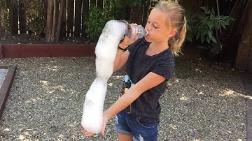 How to make Bubble Snakes experiments - diy bubble snakes