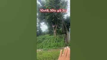 Mặt tiền tl328 xuyên mộc BRVT #automobile #bbds #bds