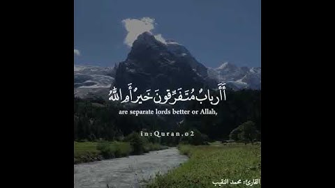 محمد النقيب ♥️يا صاحبي السجن،، سورة يوسف تلاوة خاشعة ،،♥️♥️♥️