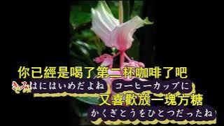 襟裳岬   森進一【高音質  全音標  譯文 】