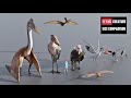 Flying creature size comparison  3d animation comparison 60 fps