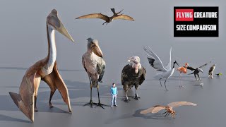 FLYING Creature Size Comparison | 3d Animation Comparison (60 fps)