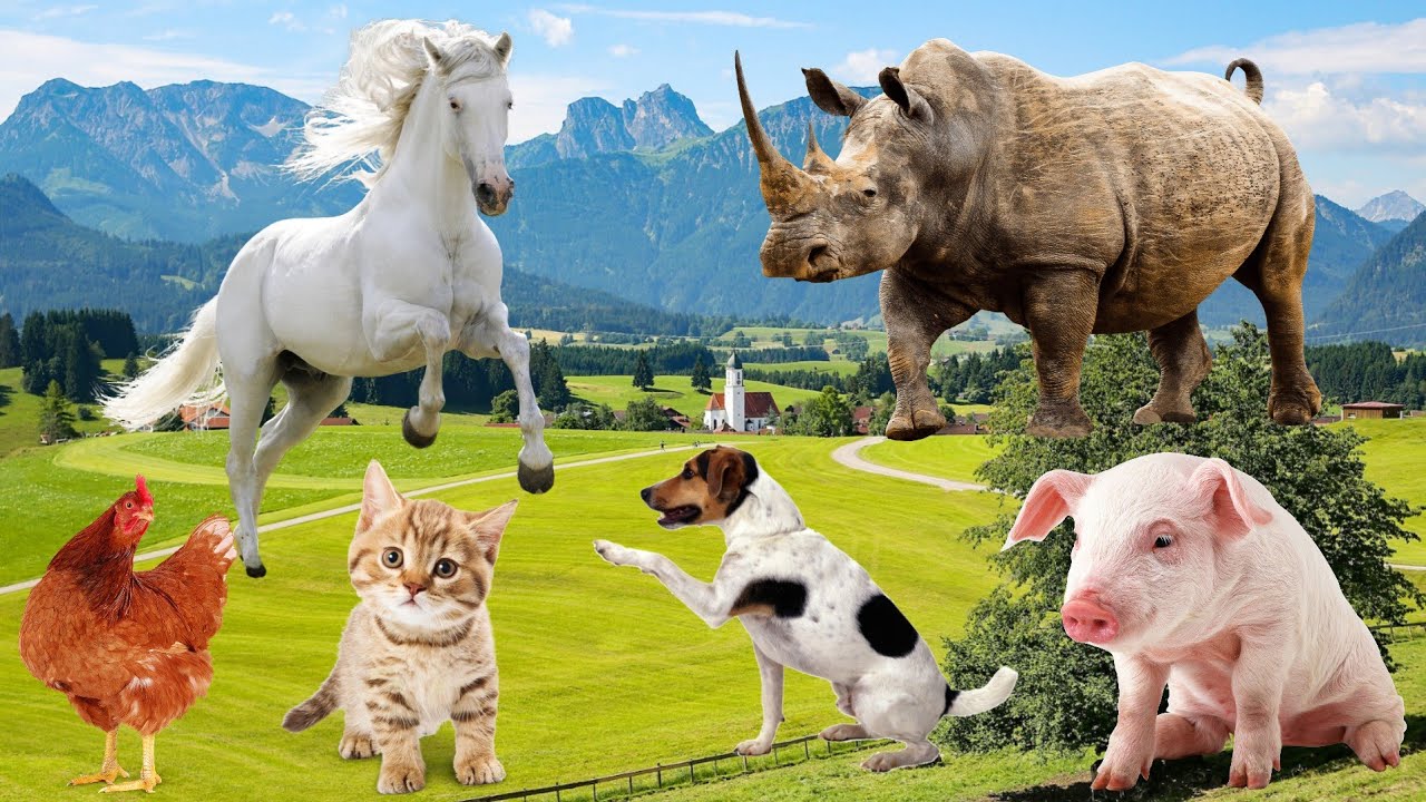 Cute and funny little animals cat, dog, cow, pig, horse, elephant