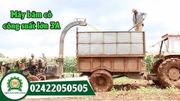 Máy băm cây ngô 3A60Hp || Máy băm thân cây ngô ủ chua tại ruộng