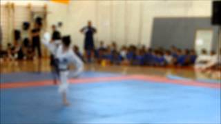Tae Kwon-Do Itf Kicks-Israel- Performence By Dorin Shteyman