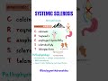 Systemic Sclerosis is more than tight skin #systemic #sclerosis #scleroderma #autoimmunedisease
