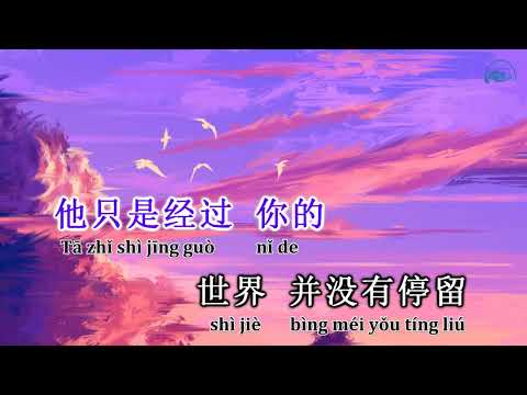 [KARAOKE] Hắn chỉ là lướt qua 他只是经过 - h3R3 & Felix Bennett (Beat gốc) |KTV伴奏他只是经过 Nhạc Douyin Tiktok