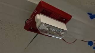 Fire Alarm System Test 21 | Wheelock Whoop FWR