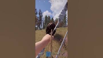 How to abuse animals in rust #gaming #rust #shorts