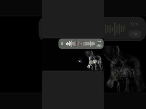 ابو طيبه انا 