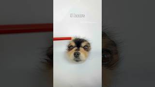 Drawing A Realistic Halloween Dog 🎃 #pomeranian