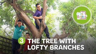 The tree with lofty branches | Quranic Parables #ramadan